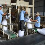 vai trò của băng tải trong sản xuất