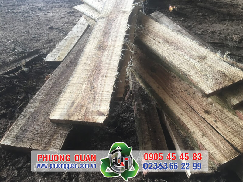 Máy cưa gỗ tự động