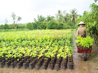 Máy nghiền đất tại Đà Nẵng