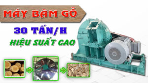 Máy băm 30 tấn