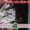 Máy nghiền rác công nghiệp nghiền vải, bao nilon , mút xốp