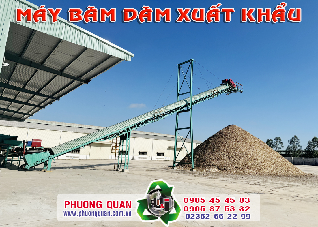 Băng tải dăm gỗ ra bãi