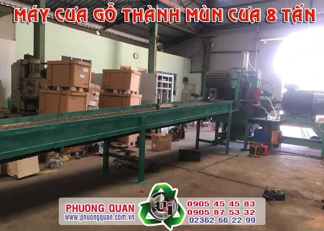 Băng tải cấp liệu máy cưa mùn cưa 8 tấn