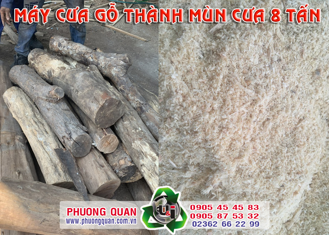 Gỗ cành nhánh và mùn cưa thành phẩm
