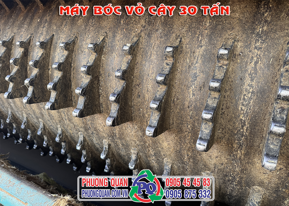 Răng bóc vỏ trên trục lột của máy bóc vỏ cây